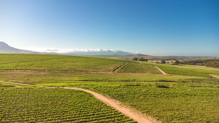 4 Bedroom Property for Sale in Lyndoch Western Cape